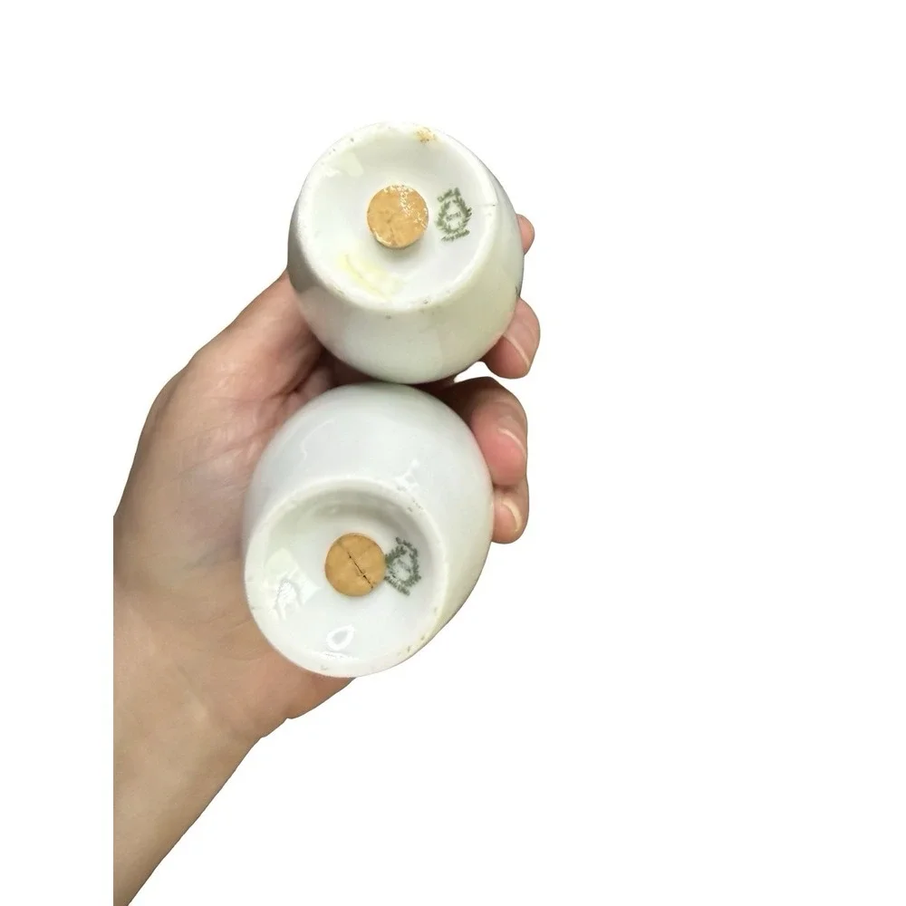 Vintage‎ Porcelain Salt & Pepper Shakers Royal Austria Gold Flowers Hand Painted